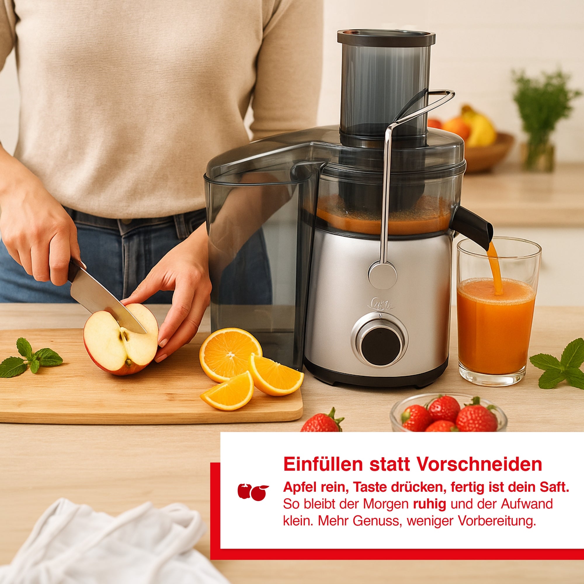 Solis_Juice Fontain Compact (Typ 8451)_schwarz, silber