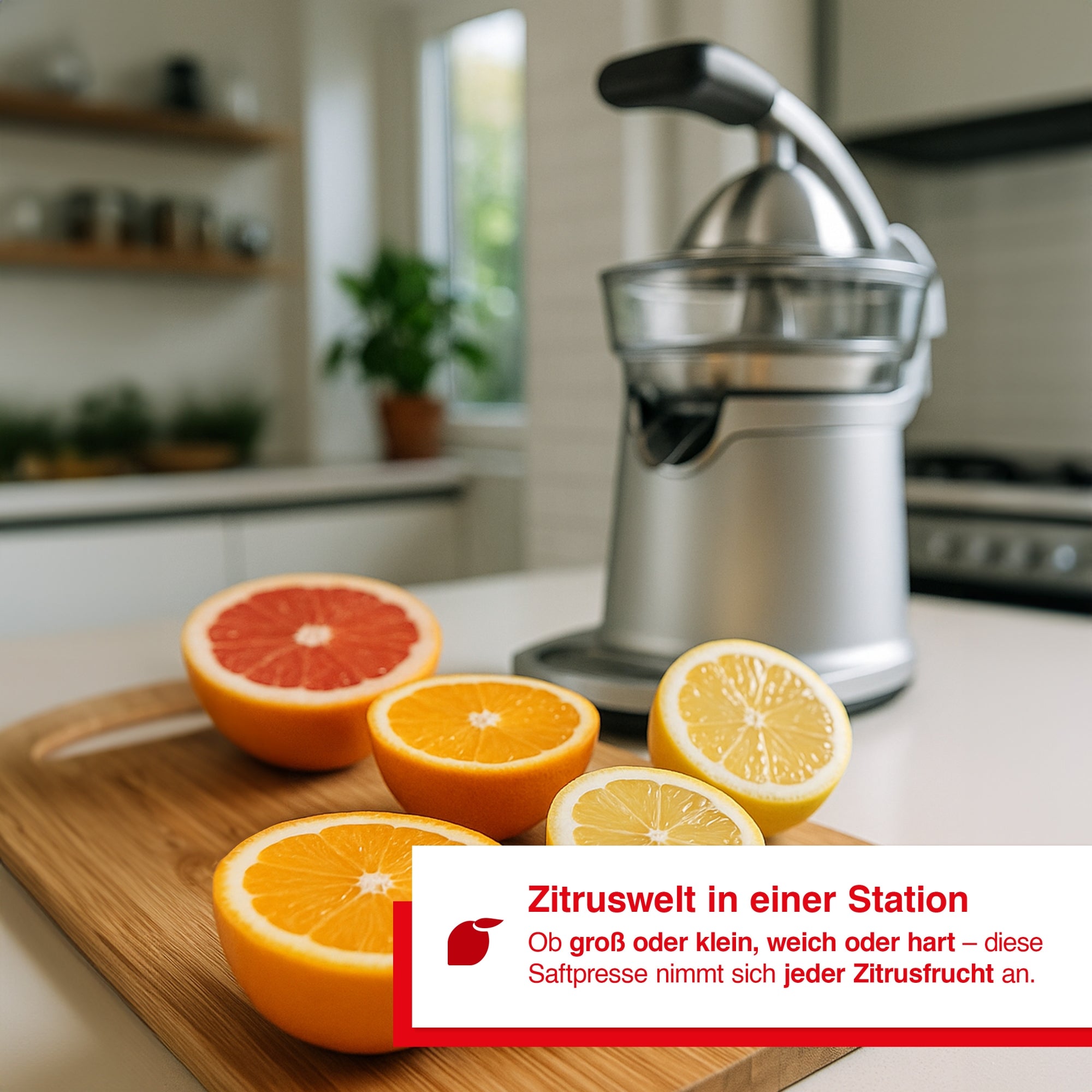 Solis_Citrus Press Station (Typ 8454)_silber