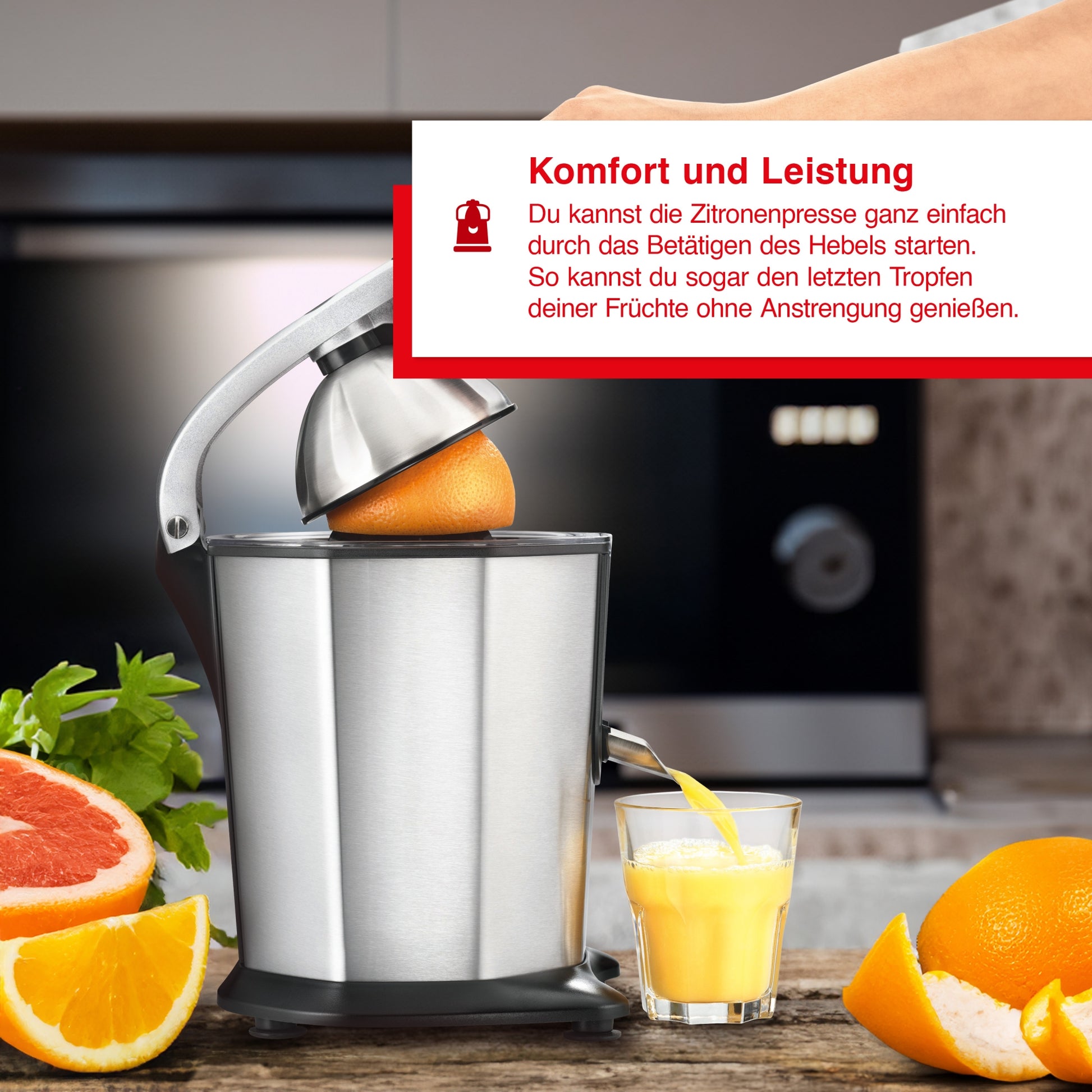 Citrus Juicer (Typ 8453) B-Ware