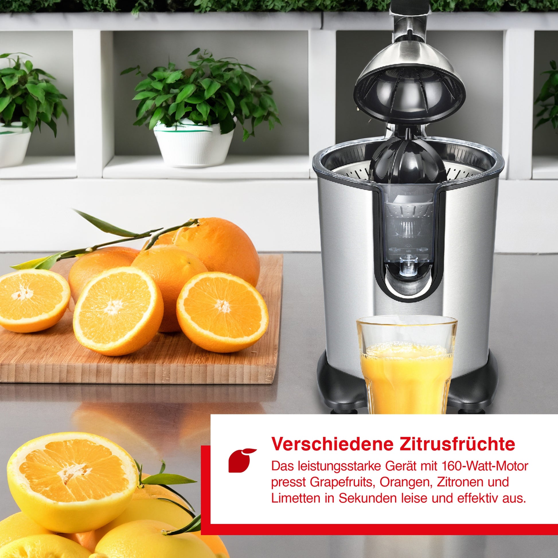 Citrus Juicer (Typ 8453) B-Ware