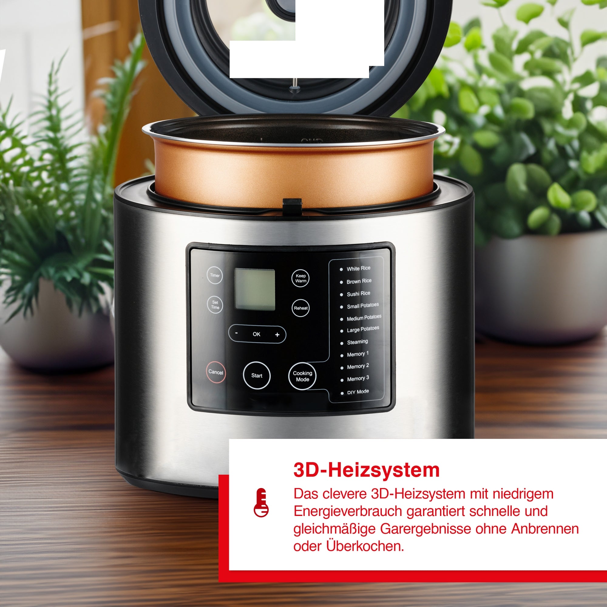 Solis_Rice & Potato Cooker (Typ 8161)_Edelstahl