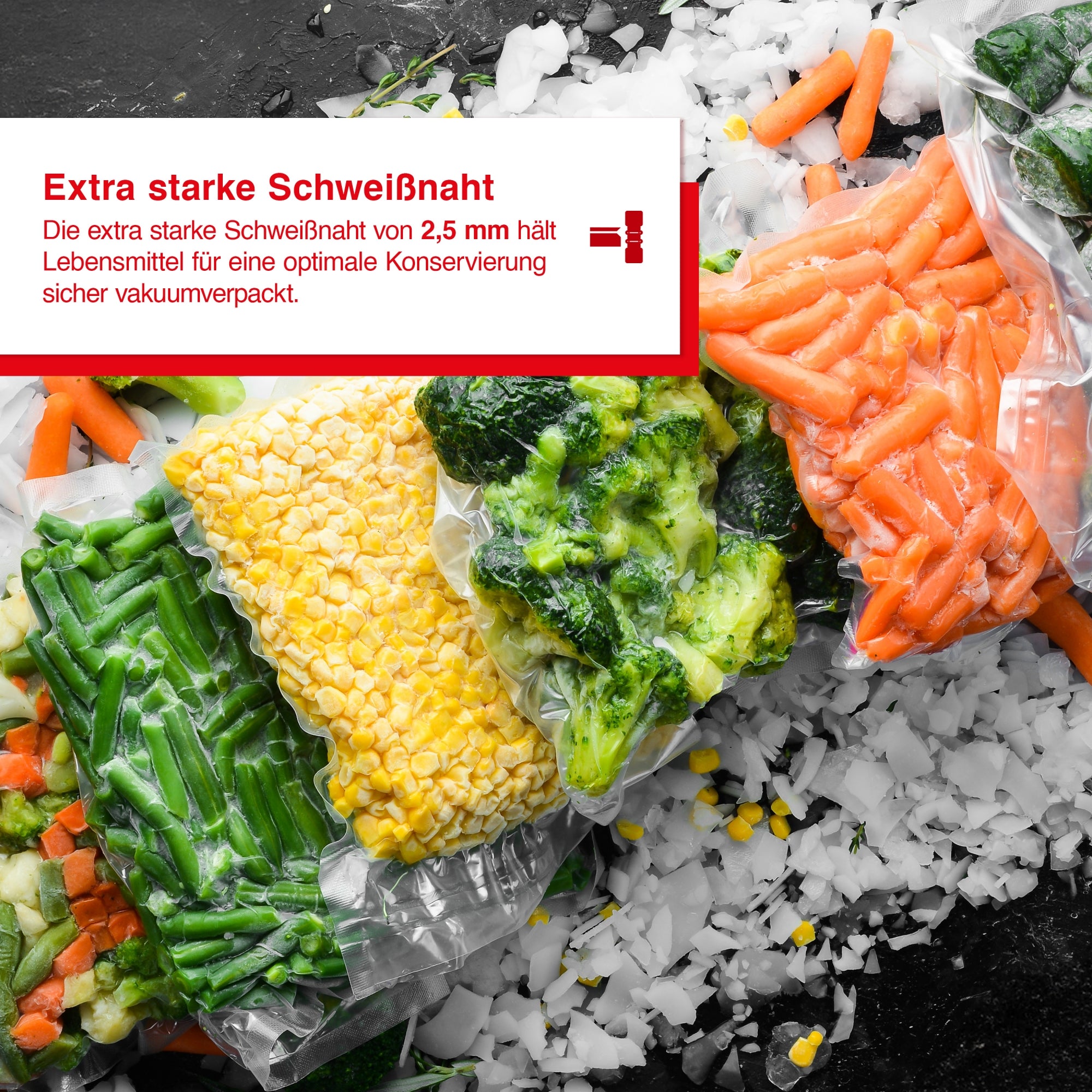 Solis_VertiVac Plus (Typ 5703)_silber/schwarz