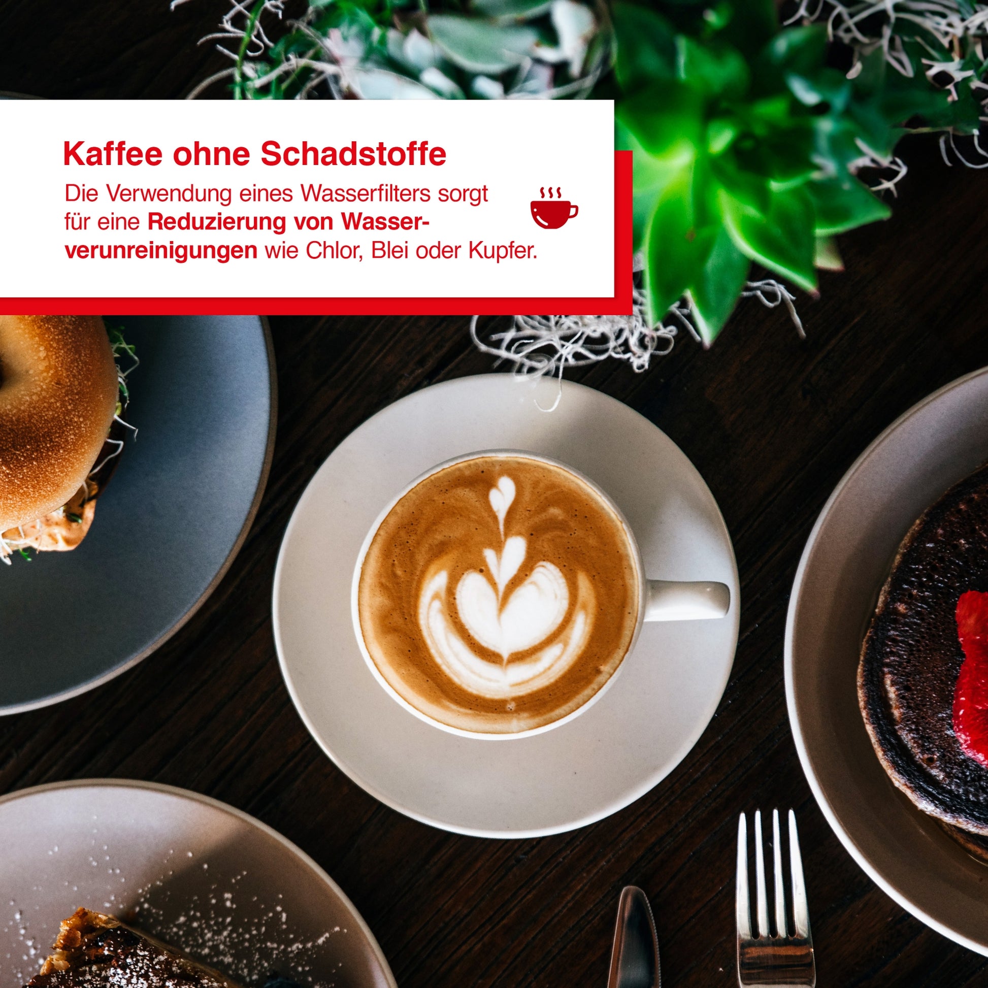 Wasserfilter f&uuml;r Grind&amp;Infuse 1018 B-Ware