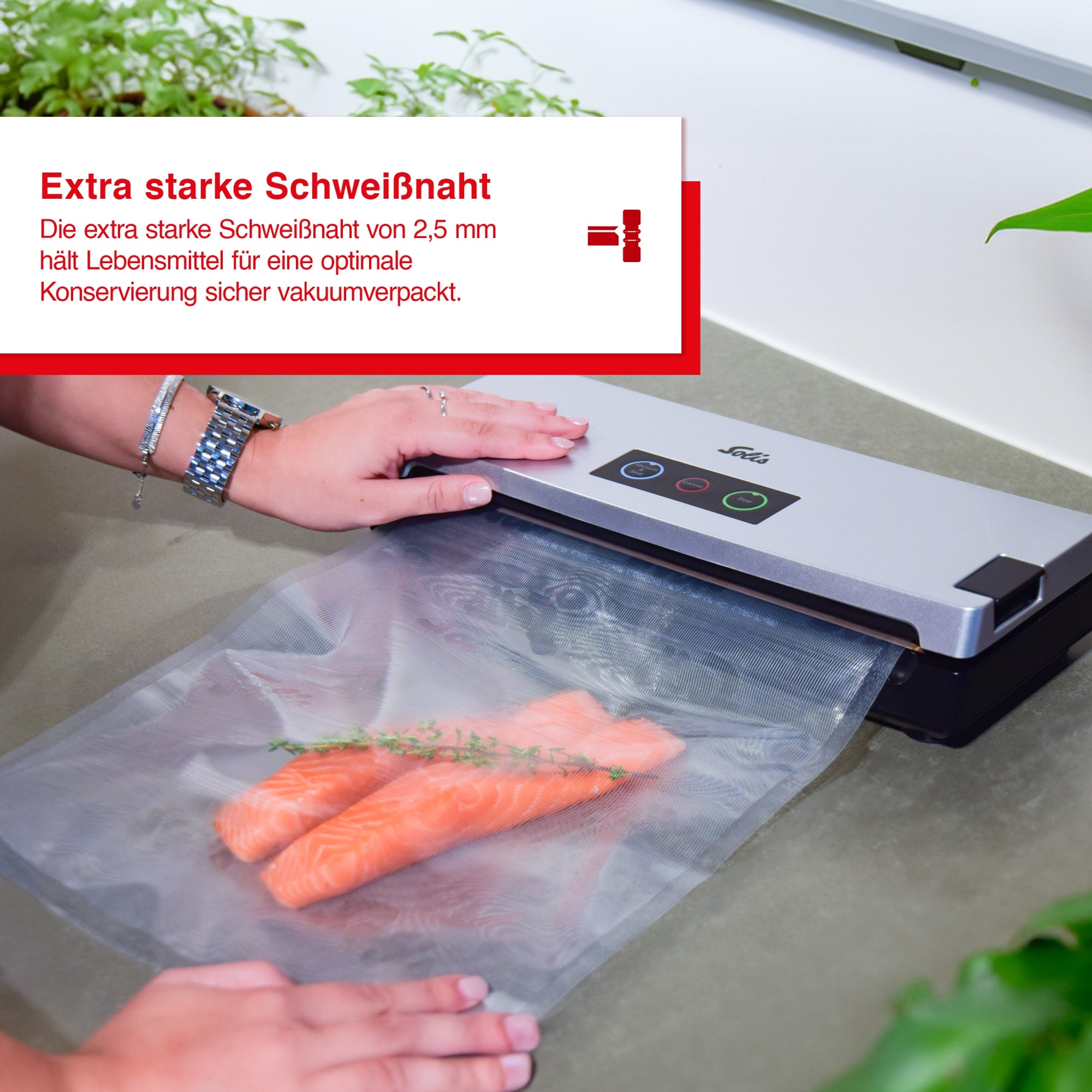 Solis_Vac Smart - Typ 577_silber